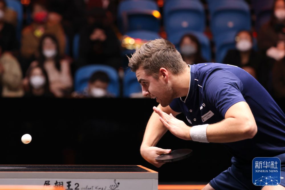 甲中的统治 甲中的统治