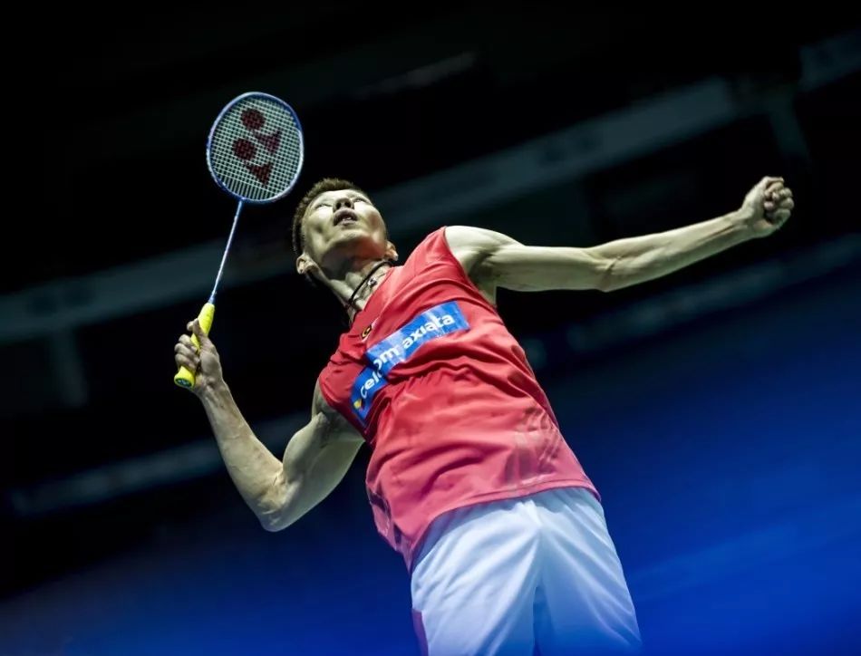 女排新人 女排新人