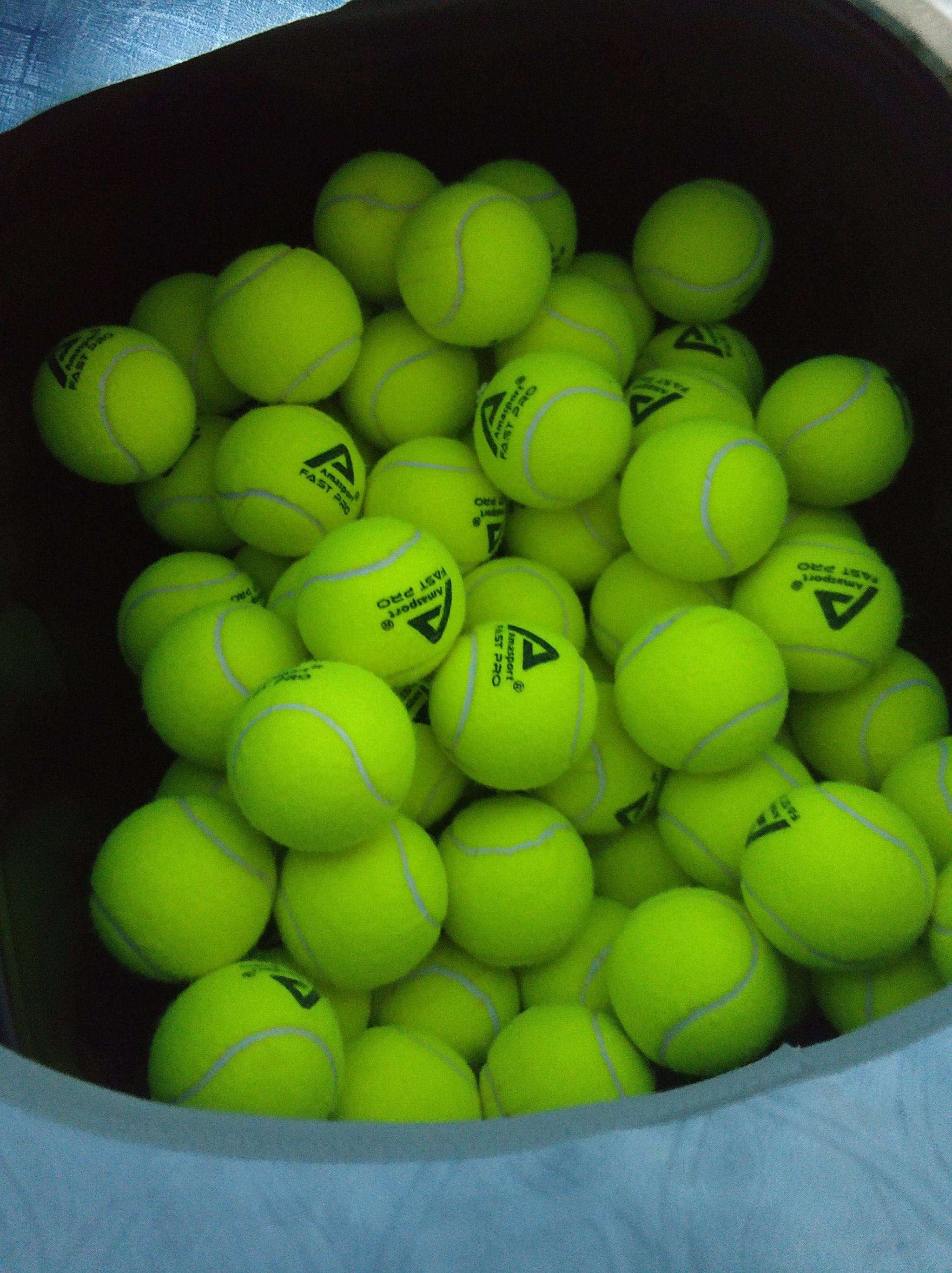 正是其中的 正是其中的