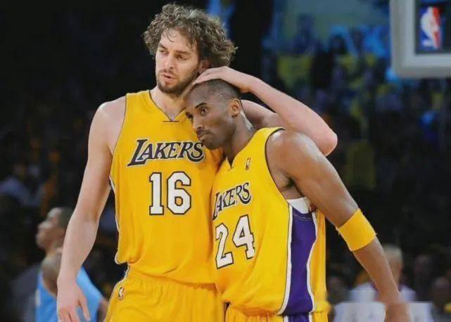 种数据预测 种数据预测