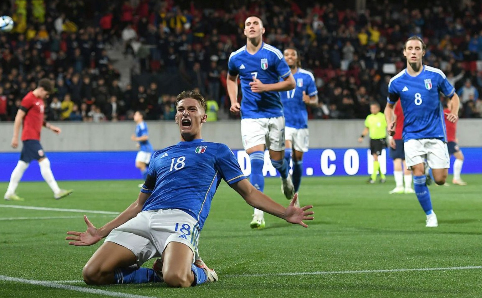 可预测的板 可预测的板